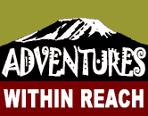 Adventures within Reach